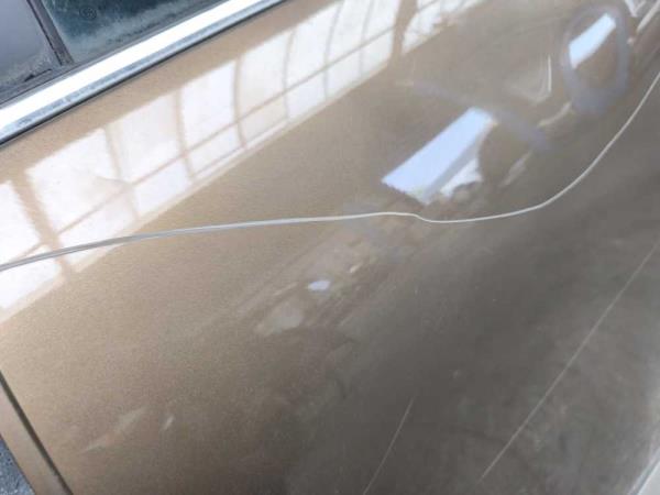 PORTE ARRIERE GAUCHE RENAULT - Vue 2